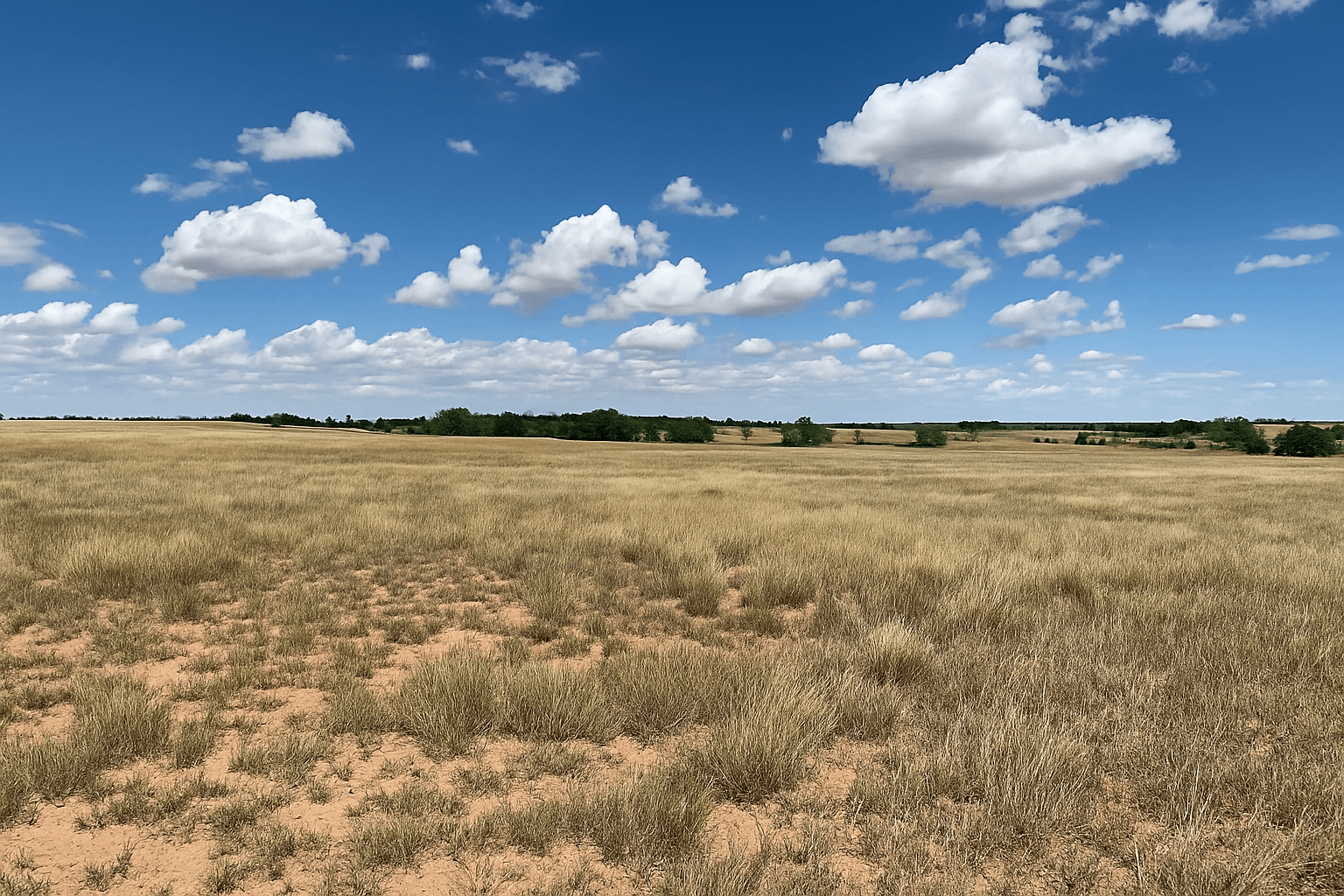 5 Acres of Vacant Land in El Paso County-2
